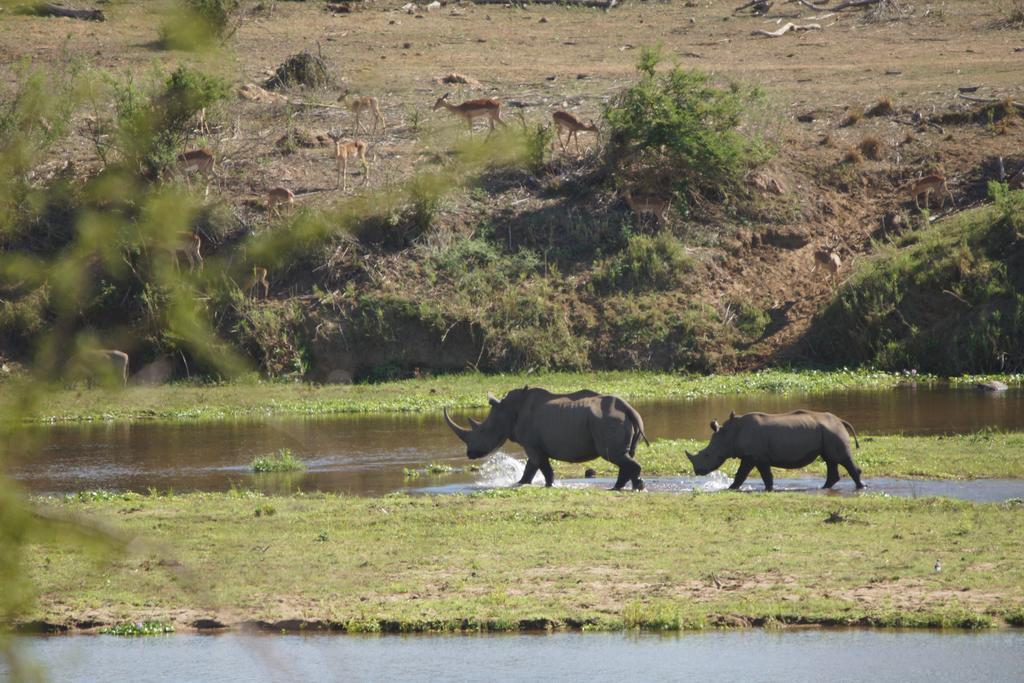 Tau @ Kruger Villa Marloth Park Eksteriør billede